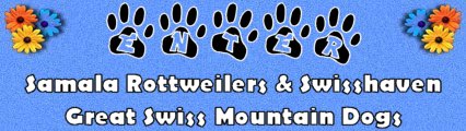 Enter to visit Samala Rottweilers & Swisshaven Greater Swiss Mountain Dogs